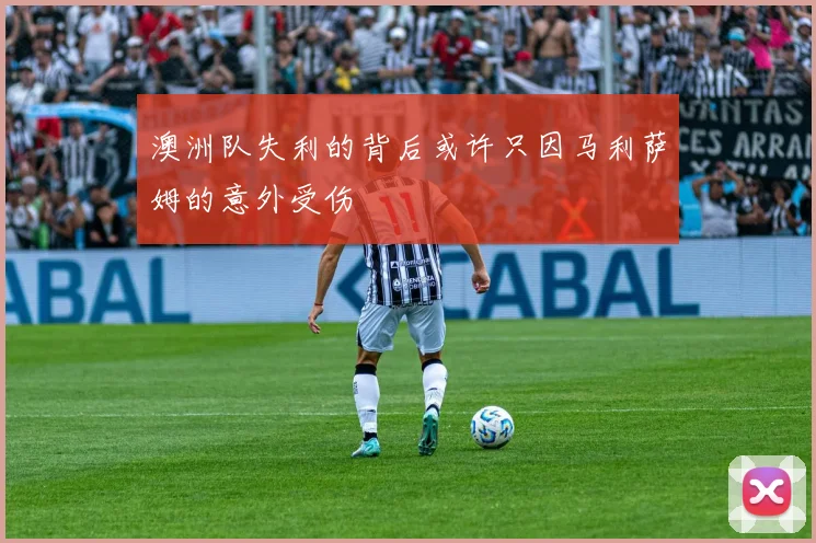 澳洲队失利的背后或许只因马利萨姆的意外受伤